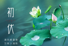 <b>初伏启幕，长夏漫漫，静享夏日清凉时光</b>