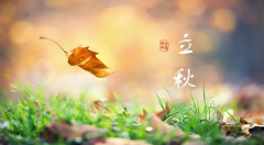 <b>一叶知秋，清风赴夏末</b>