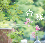 <b>白露至，秋意浓｜时序入秋，匠心筑安不负朝夕</b>